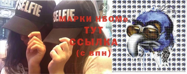 гидра Алексеевка