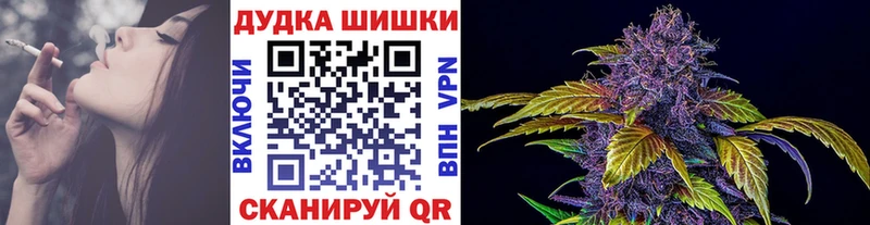 Конопля гибрид  Ачхой-Мартан 